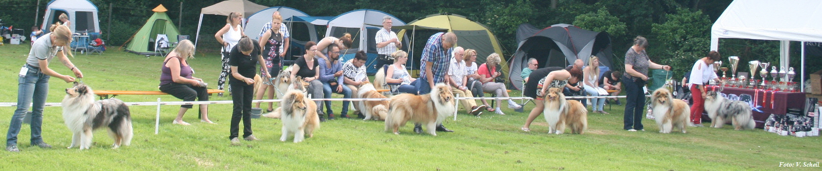 ClubschauNl27052018 090a350