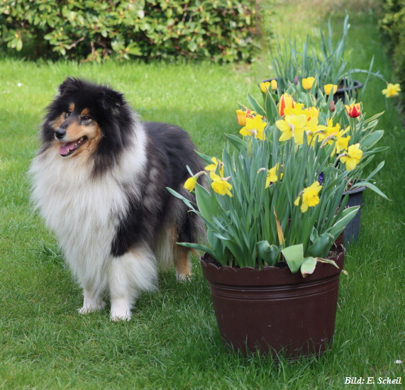 IMG_8802-Eraserz_InPixio550