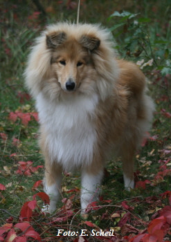 Nash01102017 046a350