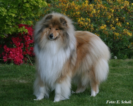 Nash09052018 381eaH350