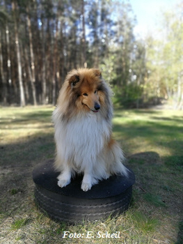 IMG_20190425_084228H350