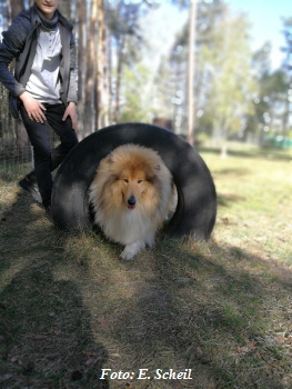 IMG_20190425_084410H350