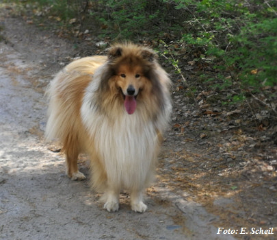 IMG_20190425_085106zeH350