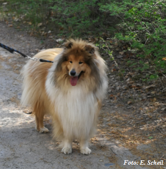 IMG_20190425_085107zH350