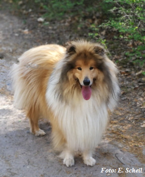 IMG_20190425_085125zeH350