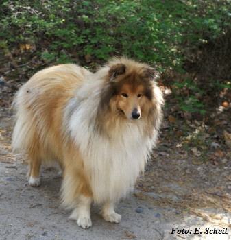 IMG_20190425_085212zeH350