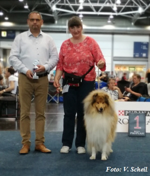 IMG_20190825_131249a350