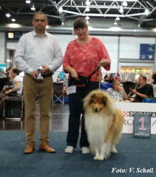 IMG_20190825_131252a350