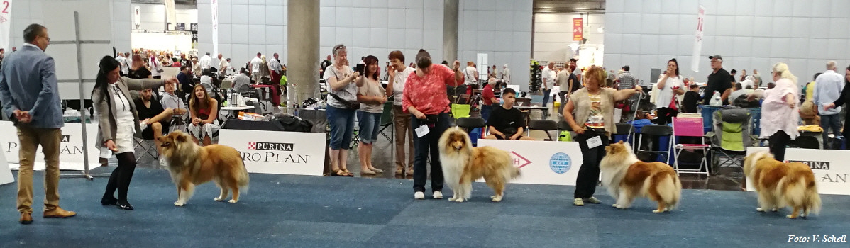 IMG_20190825_142938a350