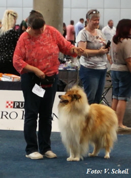 IMG_20190825_143124a350