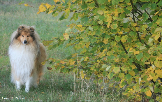 NashZoraMathilda13102019 015ezzH350