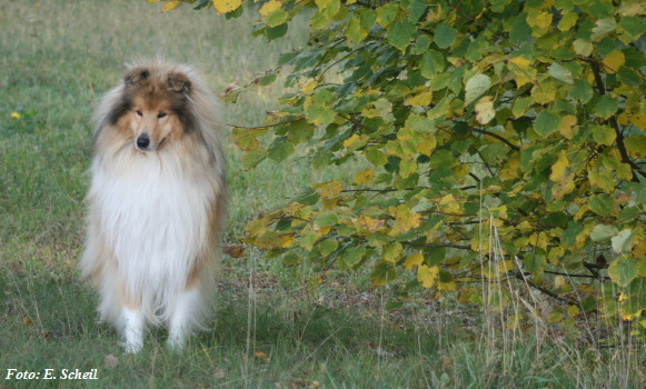 NashZoraMathilda13102019 016ezH350