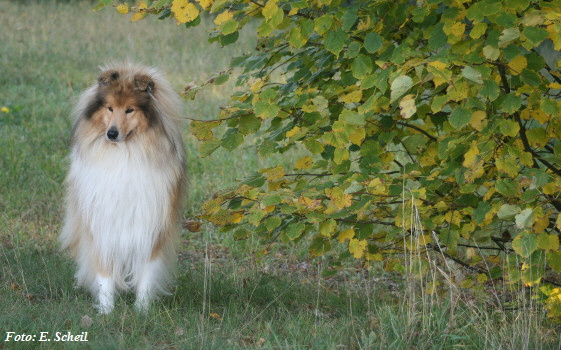 NashZoraMathilda13102019 017ezH350