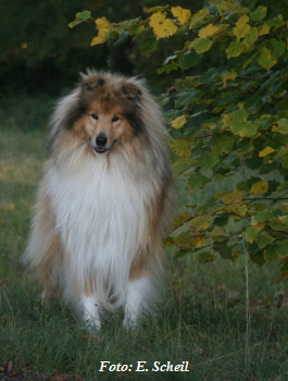 NashZoraMathilda13102019 020ezH350