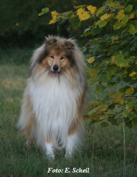 NashZoraMathilda13102019 021ezH350