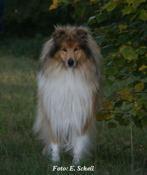 NashZoraMathilda13102019 027ezH350