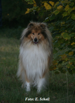 NashZoraMathilda13102019 028ezH350