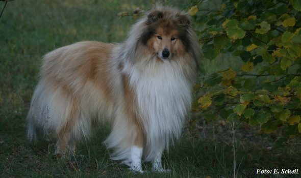 NashZoraMathilda13102019 032ezH350