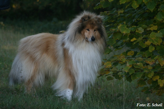 NashZoraMathilda13102019 035eH350