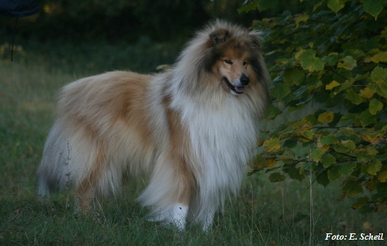 NashZoraMathilda13102019 036ezH350