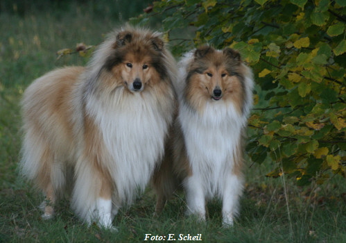 NashZoraMathilda13102019 044ezeH350