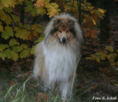 NashZoraMathilda13102019 052ezH350