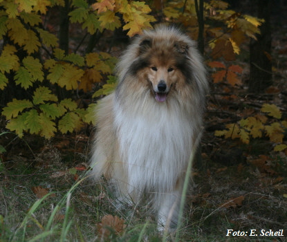 NashZoraMathilda13102019 053ezH350