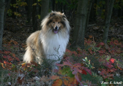 NashZoraMathilda13102019 069ezH350