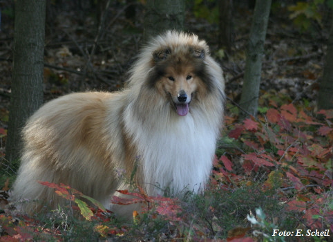 NashZoraMathilda13102019 074ezH350