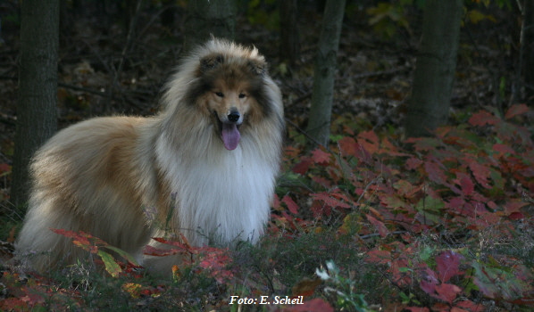 NashZoraMathilda13102019 080ezH350