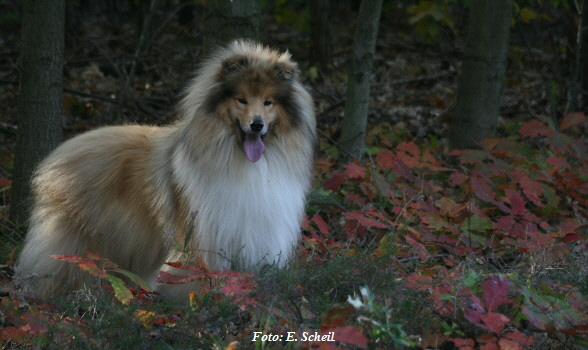 NashZoraMathilda13102019 081ezH350