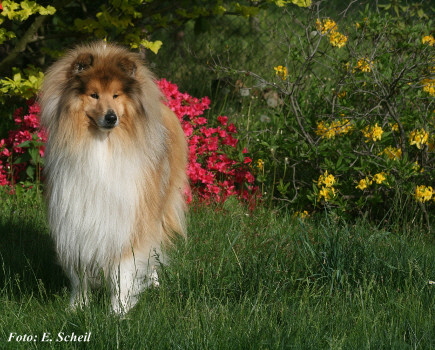 Nash09052020 035ezH350